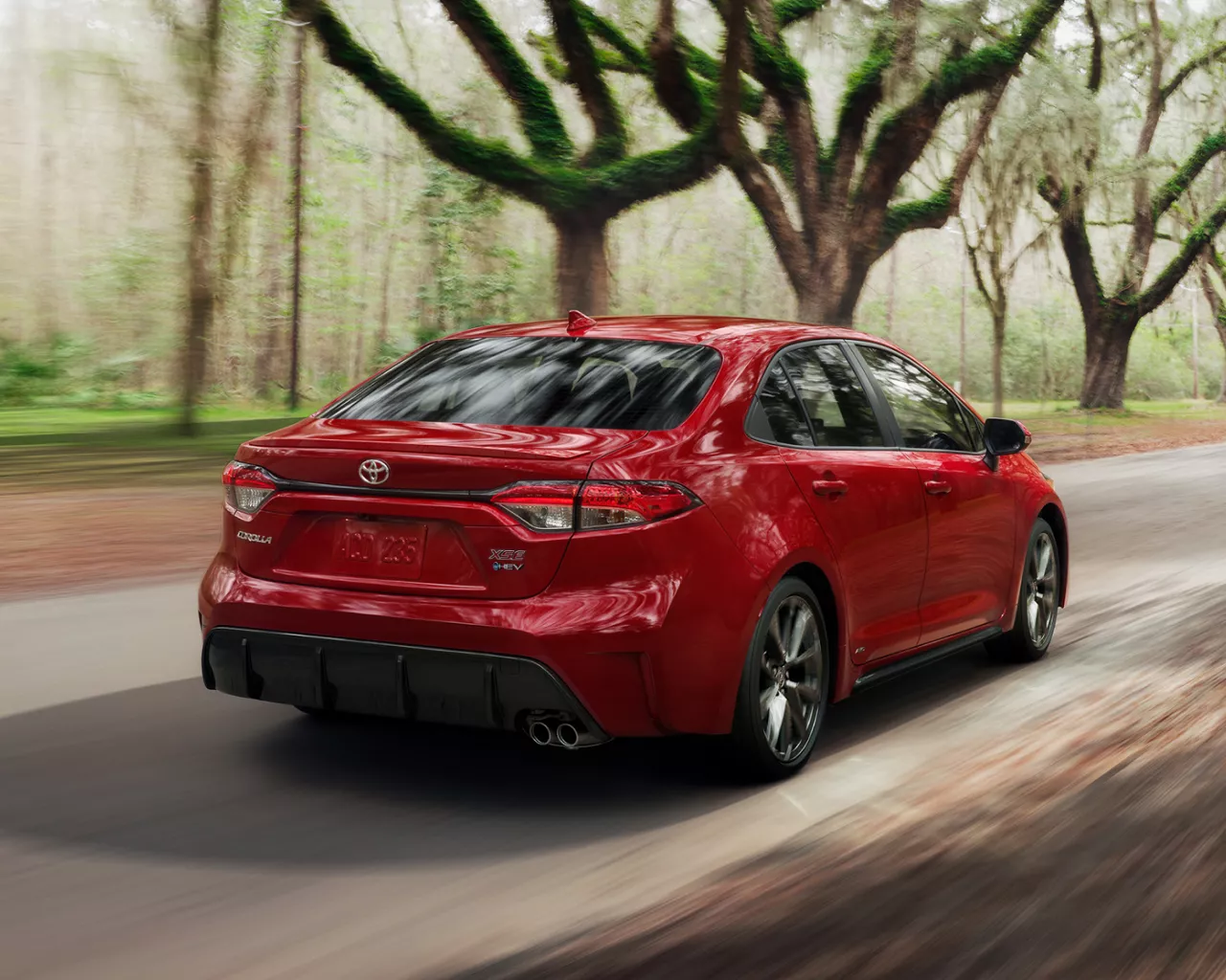 Spark Plug Replacement in Timmins, ON